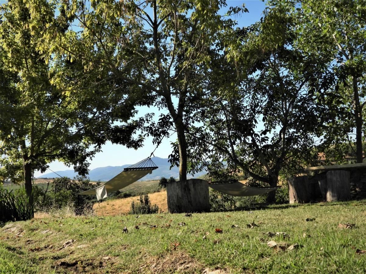 Quinta Da Alagoa Villa Santa Maria de Emeres Luaran gambar