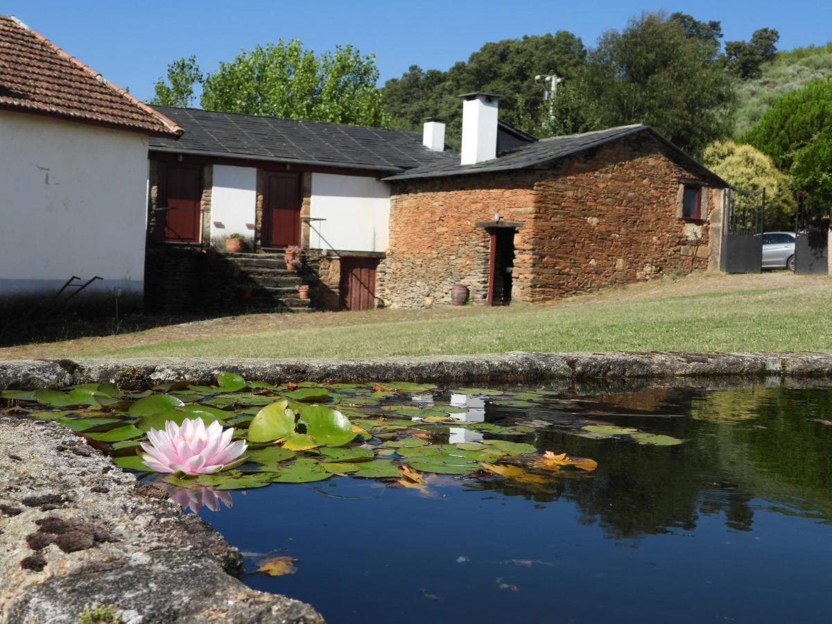 Quinta Da Alagoa Villa Santa Maria de Emeres Luaran gambar