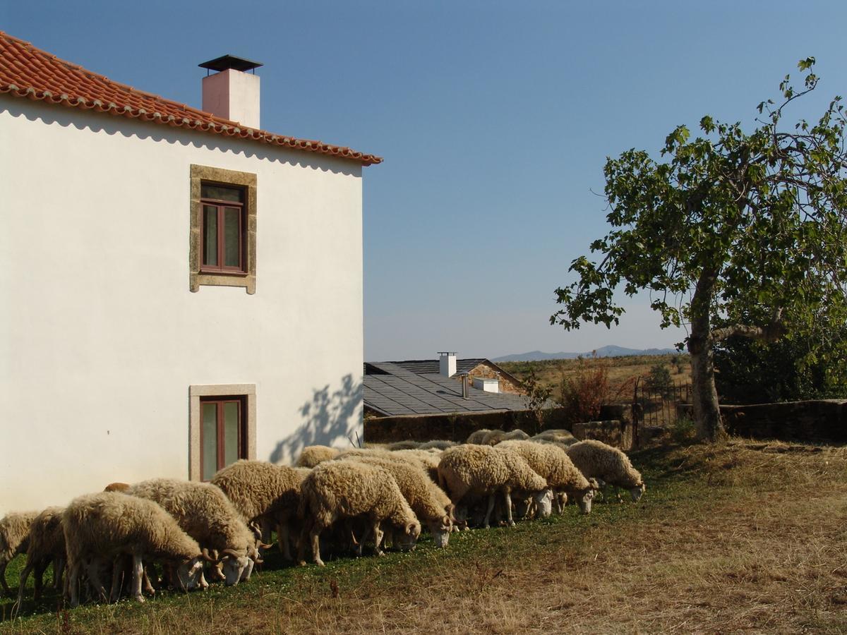 Quinta Da Alagoa Villa Santa Maria de Emeres Luaran gambar