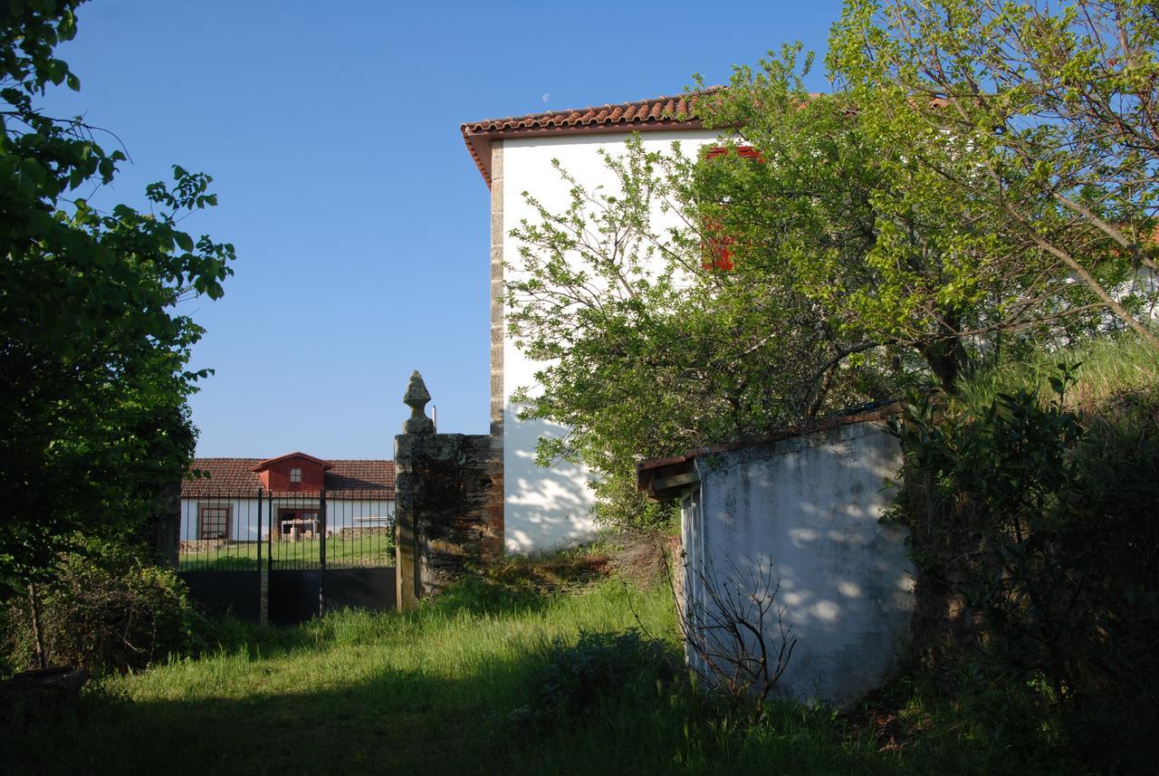 Quinta Da Alagoa Villa Santa Maria de Emeres Luaran gambar