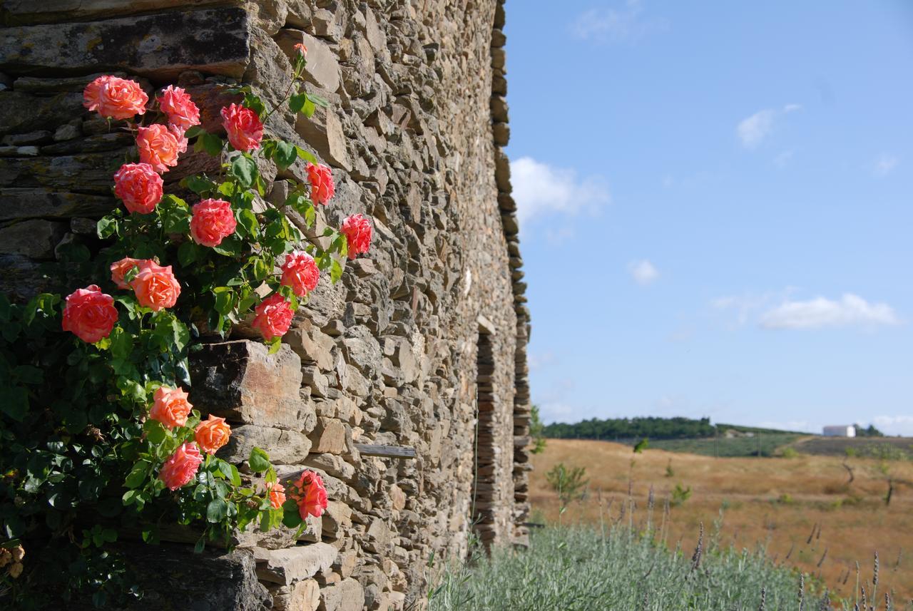 Quinta Da Alagoa Villa Santa Maria de Emeres Luaran gambar