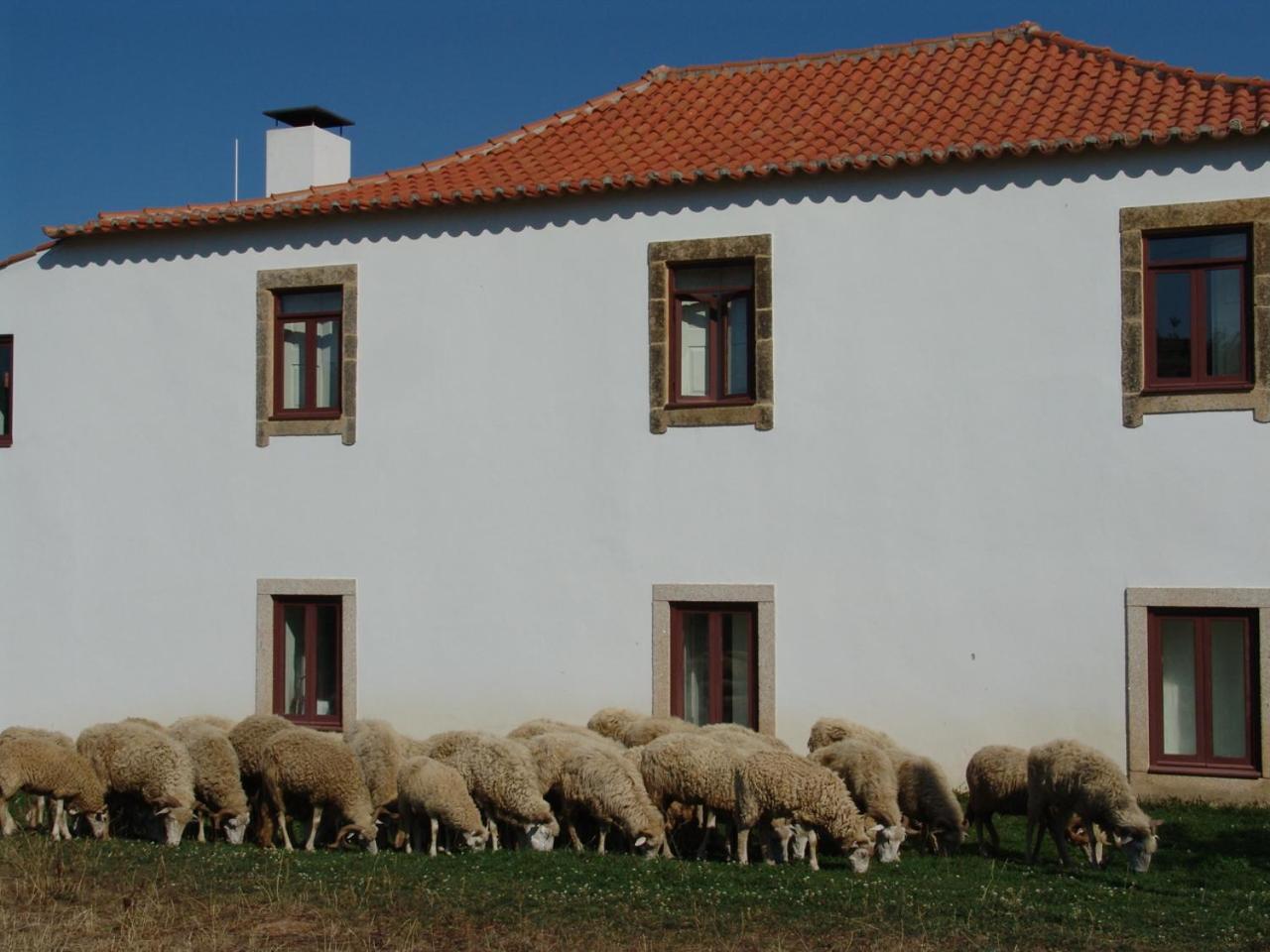Quinta Da Alagoa Villa Santa Maria de Emeres Luaran gambar